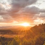 Beautiful Forest and Valley Sunset