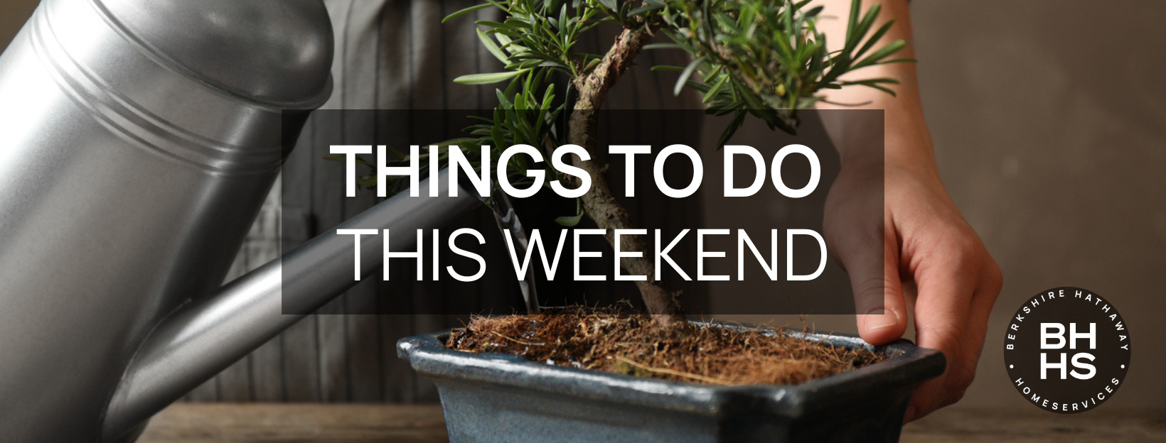 Things To Do This Weekend 
